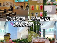 -鹊茶咖啡•新中式(深圳首店)