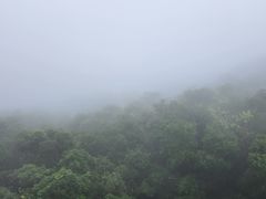 -普陀山慧济禅寺