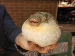 -永安鱼庄·镇江菜(丁卯店)