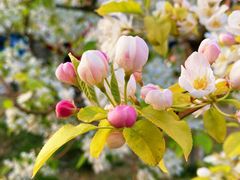 -元大都城垣遗址公园