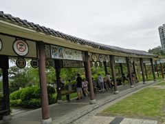 -飞来湖湿地公园