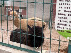-保定市动物园