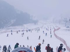 -中旅松花湖滑雪场