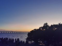 -宝安西湾红树林湿地公园