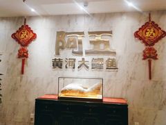 -阿五黄河大鲤鱼(纬三路店)