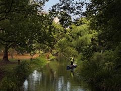 -上海共青森林公园