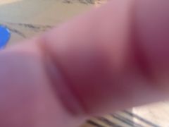 -小船渔村•大连菜•大连焖鱼(明泽街店)