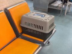 -动物缘宠物医院·骨科·猫科(西二环店)