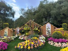 -上海共青森林公园