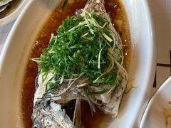 -强记海鲜·大排档(蛇口新街店)