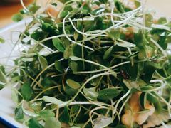 香椿苗豆腐丝-金悦印象小馆(三里河店)