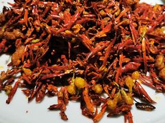 -院8里·小聚园(九眼桥店)