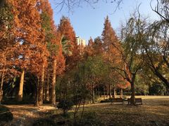 -苏州河梦清园环保主题公园