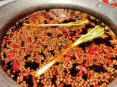 -钢管厂五区小郡肝火锅串串香(总店)