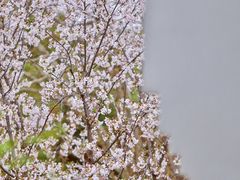 -堤角公园