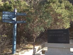 -延安杨家岭革命旧址