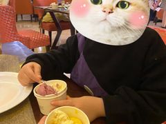 -长沙芙蓉国温德姆至尊豪廷大酒店 - 自助餐厅