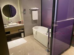 -南京禄口机场雅高铂尔曼大酒店