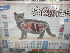 -乖乖乐动物医院(小汤山分院)