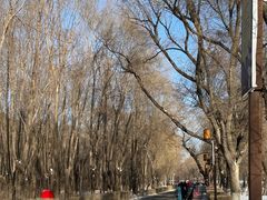 -长春市南湖公园