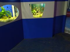-嘉兴海底世界
