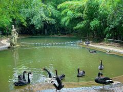 -南山风景名胜区