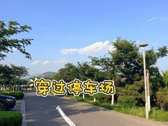 -单家老院·院子里的青岛菜(沙子口店)
