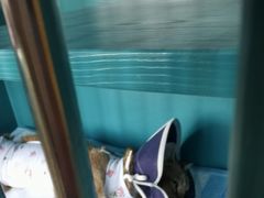 -pd派德宠物中心医院24H急重症·眼科中心·血液透析中心(嵩山北路店)