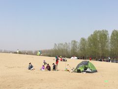 -东郊湿地公园