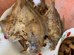 -南汇老顾农家乐采摘大团水蜜桃采摘店