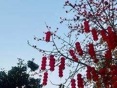 -德云居