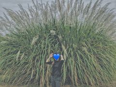 -盘龙城国家考古遗址公园