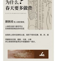 -悦瑢港湾科技美肤芳疗美容