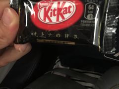 -关西国际机场直营免税店