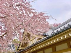 -醍醐寺