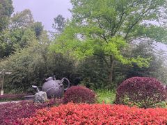 -东湖落雁景区