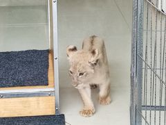 -大连森林动物园