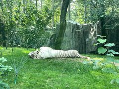 -北京野生动物园