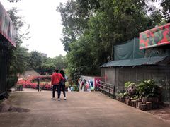 -观澜湖旅游度假区