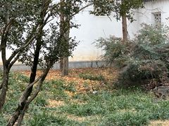 -苏州上方山国家森林公园