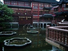 -绿波廊(豫园店)