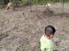 -重庆雨台山风景区