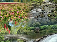 -广州市石门国家森林公园