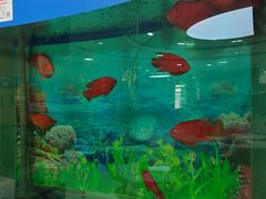 -雅悦齿科(顾村公园店)