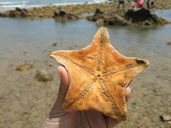 -青岛银沙滩