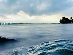 -宝安西湾红树林湿地公园