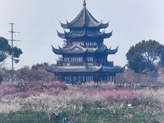 -上海海湾国家森林公园