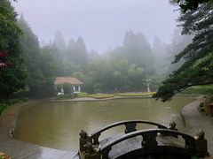-庐山风景区花径公园
