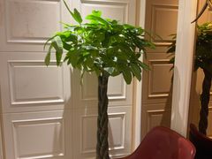-洛阳宴·洛阳菜(南昌路店)
