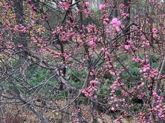 -森林公园(尖草坪区)
